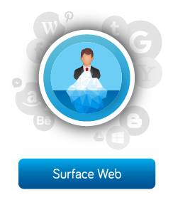 BlackSearch - Surface Web